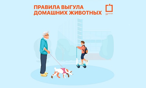 Правила выгула домашних животных.